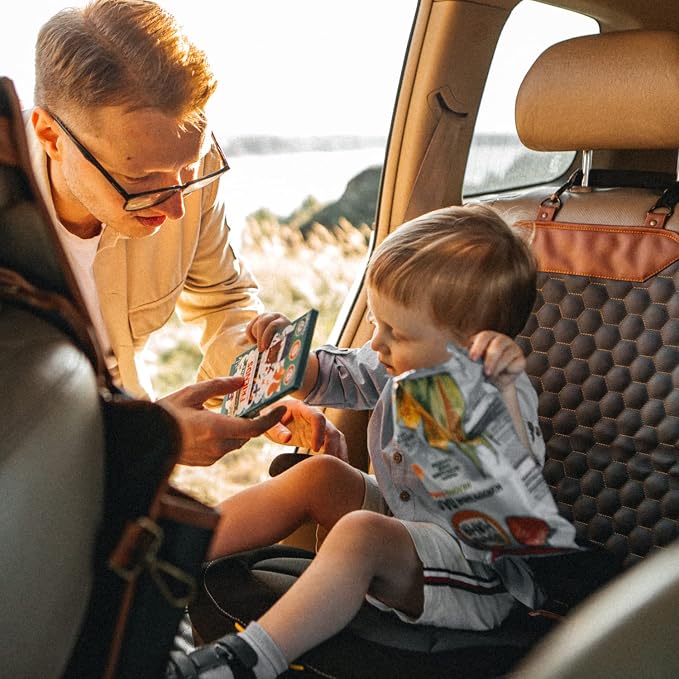 Owleys Set Seat Back Organizer & Car Seat Protector Hexy Waterproof & Non-Slip Protector for Child Car Cushion for Leather and Fabric Seats (Hexy 2pcs)