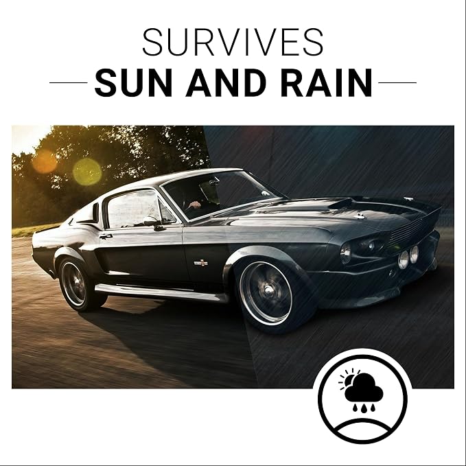 CAR GUYS Plastic Restorer | Bring Plastic, Rubber, and Vinyl Back to Life! | User Friendly Trim Restorer | Safe Auto Detailing Supplies | 8 Oz Kit with Foam Applicator