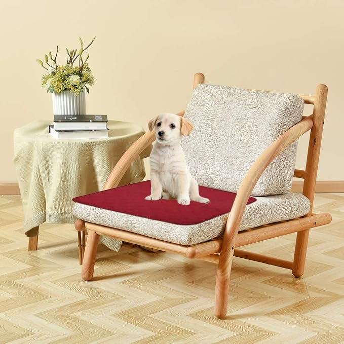 Non-Slip Absorbent Washable Incontinence Pad underpad Seat 4-Layer Design Chair Absorbent Pads Protection - for Seniors, Adult, Children, or Pet Underpad Protection - Set of 2 (Beige, 21" L x 22" W)
