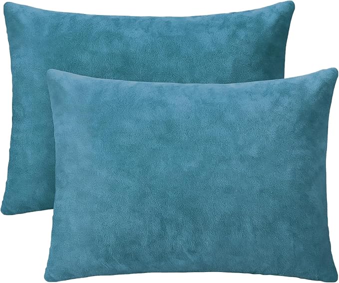 1 MIDDLE ONE 2 Pack Small Pillow, 16 X 12 Inches, Memory Foam Mini Pillow for Travel, Camping, Sleeping, Nap and Neck, Knee, Lumbar Support, Tiny Cushion for Pet, Dogs (Lake Blue)