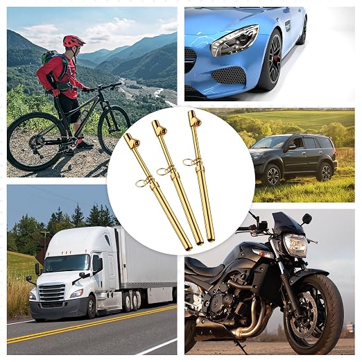 Tallew 10 Pack Dual Head Tire Pressure Gauge Heavy Duty Air Pressure Tire Gauge for Auto Truck Car RV Van Gage Range 10-150PSI, 1-10Bar (Gold)