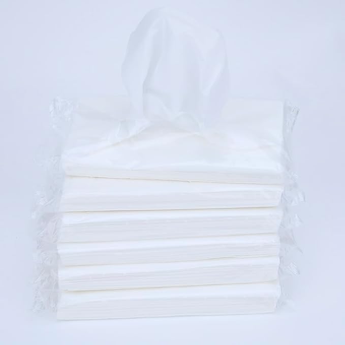 Car Tissue Refills, Facial Napkin Refills for Car Visor Tissue Holder - 600 Sheets, 12 Packs (12 Pack)