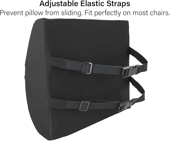 Vaunn Medical Seat Cushion, Lumbar Back Support Pillow for Office Chair with Removable Firm Insert