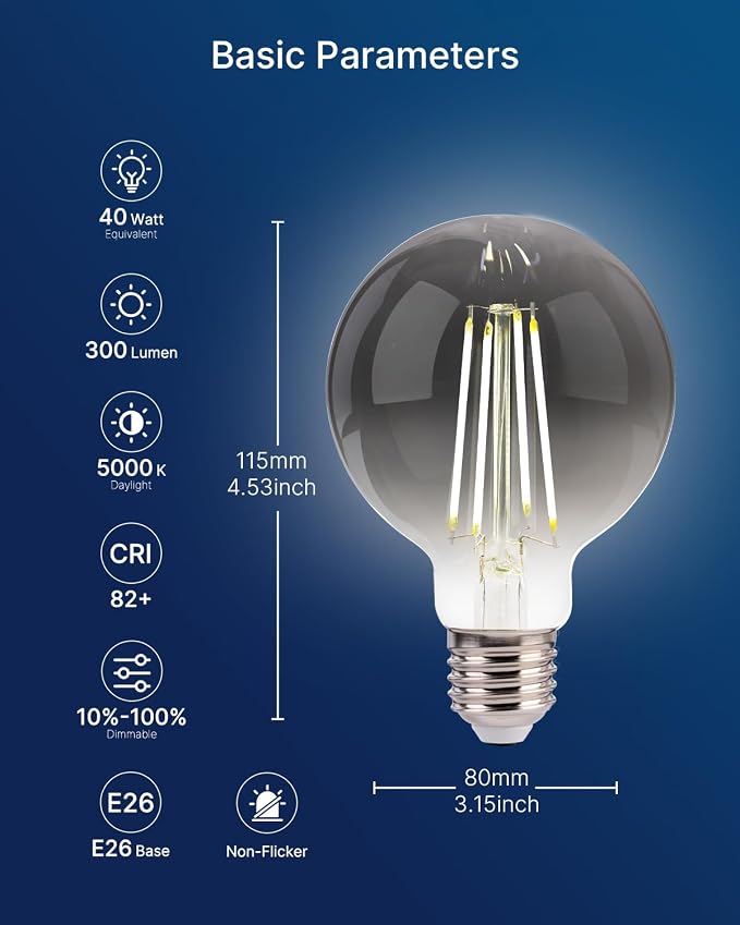 FLSNT 6 Pack G25 LED Globe Edison Bulbs, 5000K Daylight Decorative Light Bulbs, CRI90+ Dimmable, 40W Equivalent, 300LM, E26 Base, Smoky Grey Glass, UL Listed