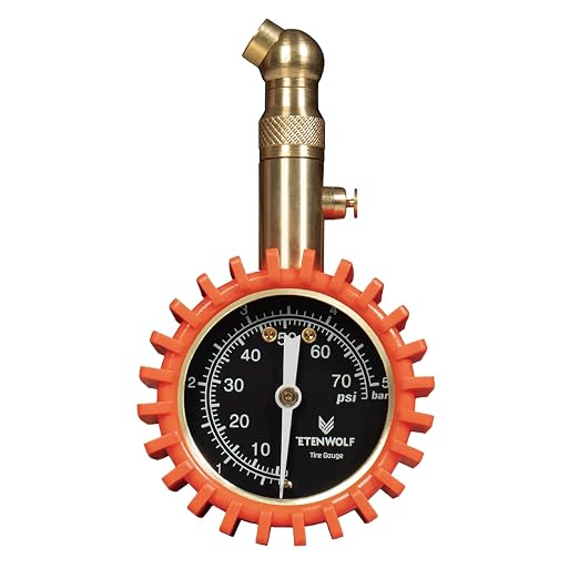 ETENWOLF Tire Pressure Gauge for Cars 0-75 PSI, Air Pressure Gauge with Large Glow Dial, Calibrated to ANSI B40.1 Grade A(Plus-Minus 1%), Tire Gauge for Tire Pressure Car Accessories (Vivid Orange)