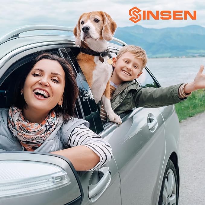 SINSEN Window Breaker Seatbelt Cutter for Car, Emergency Tool to Break Glass, 1, Rose Gold
