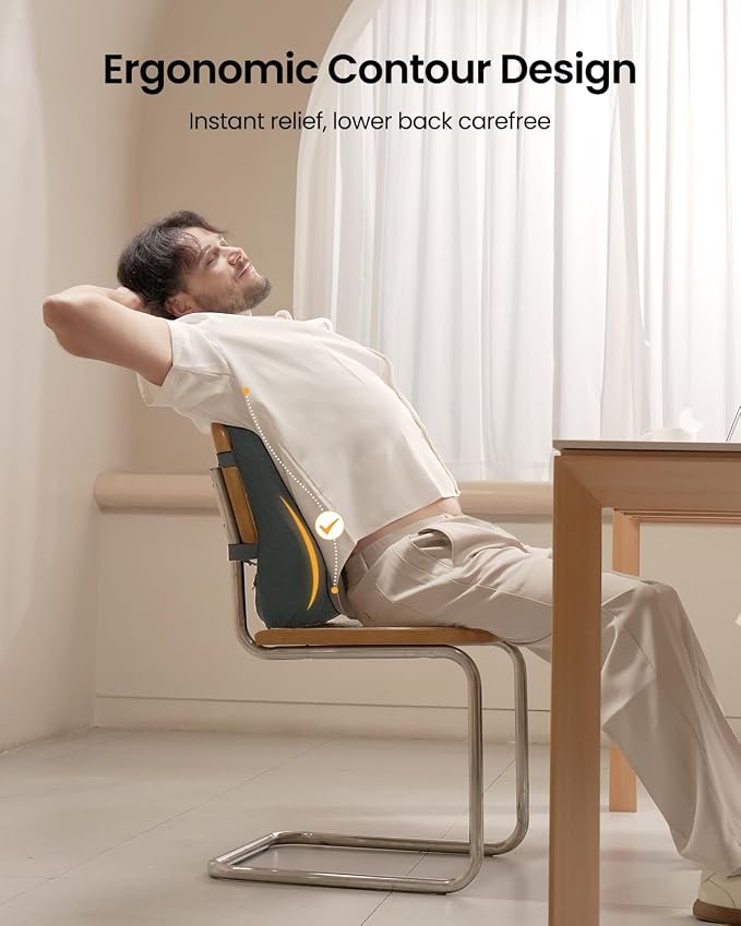 ProtoArc Lumbar Support Pillow for Office Chair, Back Support, Dark Gray | Memory Foam Pillow for Lower Back Fatigue Relief, Lumbar Pillow Desk Chair Back Cushion, Ergonomic Back Rest for Chair