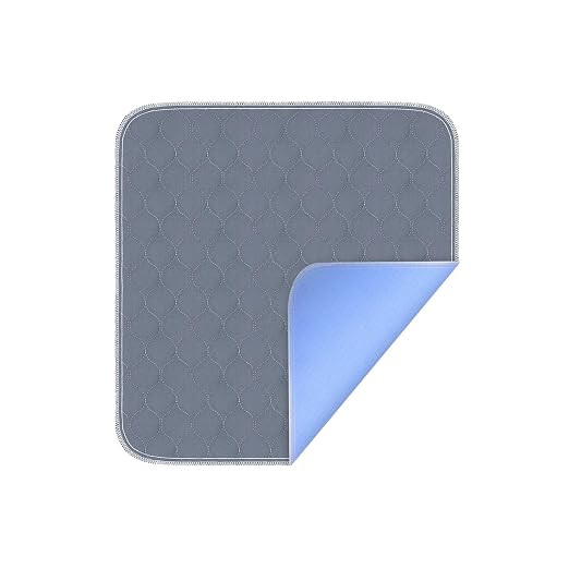 Waterproof Chair Pads for Incontinence - Absorbent Seat Protector Pads - Washable Reusable - 21x22 inch (Pack of 1)