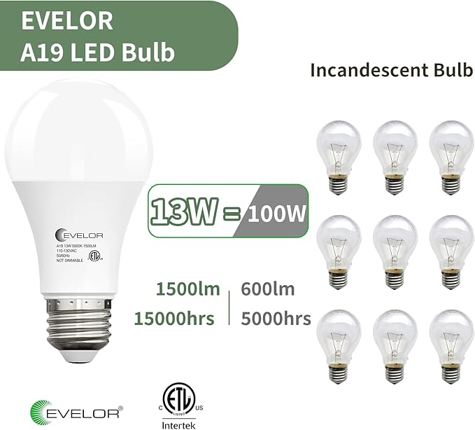 evelor 24-Packs A19 LED Light Bulbs,100 Watt Equivalent Daylight 5000K Bright Bulbs Efficient 13W,1500 Lumens E26 Base, Non-Dimmable, 15000-Hour Lifespan for Bedroom, Living Room, Office