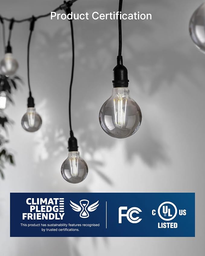FLSNT 6 Pack G25 LED Globe Edison Bulbs, 5000K Daylight Decorative Light Bulbs, CRI90+ Dimmable, 40W Equivalent, 300LM, E26 Base, Smoky Grey Glass, UL Listed