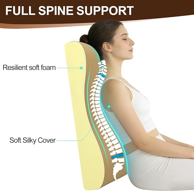 2-in-1 Neck Pillow Lumbar Support Pillow for Recliner Couch & Nursery Glider Chairs- High-Resilient Foam Cushion Ergonomic Back Support for Comfort in Rocking, Feeding, Nursing Brown M