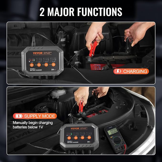 VEVOR Smart Battery Charger, 2A x 4, LiFePO4 Lead-Acid (AGM/Gel/SLA) Car Battery Charger, Fully-Automatic Charger Maintainer Desulfator for Boat Motorcycle Lawn Mower Golf Cart Marine Deep Cycle