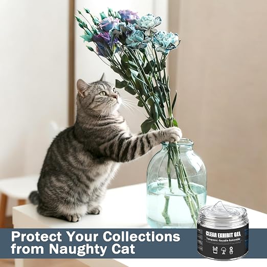 6.35 Oz Clear Exhibit Gel for Museum, Removable Museum Putty Wax for Protecting Vase and Collections from Falling&Vibration, Reusable & No Residue, Suitable for Glass, Ceramic and Action Figures