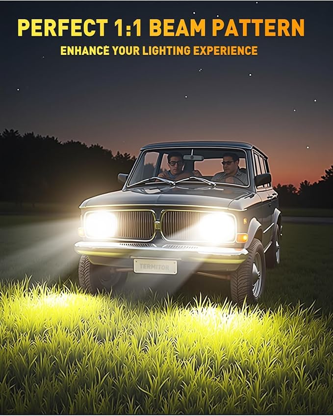 Termitor D2S-Style HID Kits, IP68 Waterproof Auxiliary Light, Universal Fit for Vehicles, Pack of 2
