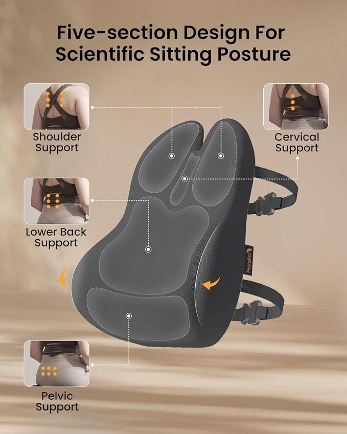 ProtoArc Lumbar Support Pillow for Office Chair, Back Support, Dark Gray | Memory Foam Pillow for Lower Back Fatigue Relief, Lumbar Pillow Desk Chair Back Cushion, Ergonomic Back Rest for Chair