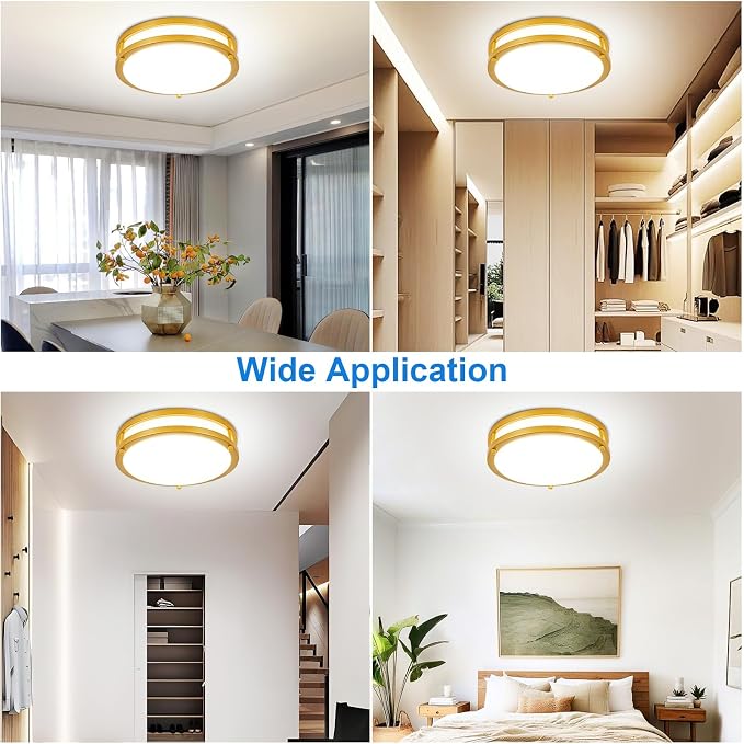 DLLT Flush Mount LED Ceiling Light: 10 Inch 5CCT (3000K-6000K) & Dimmable Ceiling Light Fixtures for Bedroom Hallway - 18W Modern Gold 1600LM Super Bright Kitchen Lighting Fixtures Ceiling