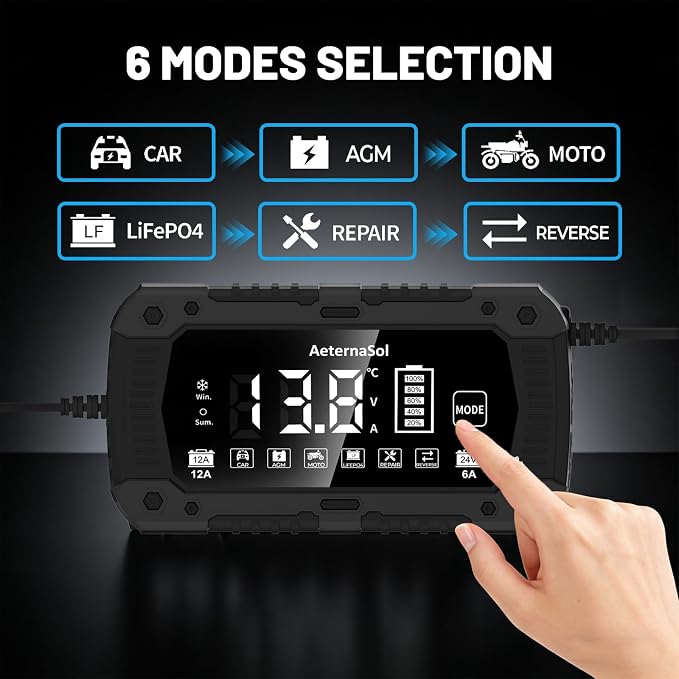 12A Smart Car Battery Charger, 12V/24V Battery Maintainer Charger for Car Motorcycle, Trickle Charger, Fully Automatic Detect Battery Type & Voltage with Desulfator (Black)