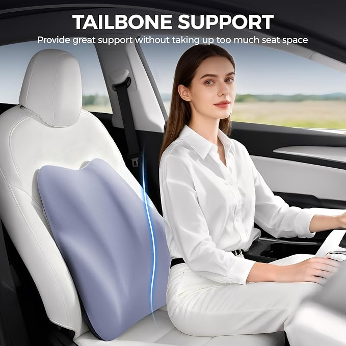 BEBAS Lumbar Support Pillow for Car, Memory Foam Back Cushion for Driving, Ergonomic Lumbar Pillow for Pain Relief, Comfort Lower Back Support for Office Chairs, Car Seat, Wheelchair -Blue