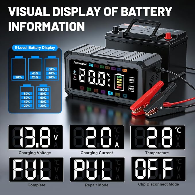 20A Smart Car Battery Charger, 12V/24V Battery Charger, Automatic Battery Maintainer Desulfator Compatible with LiFePO4, AGM, Gel, Lead-Acid, Trickle Charger for Truck, Motorcycle, RV, Boat (Black)