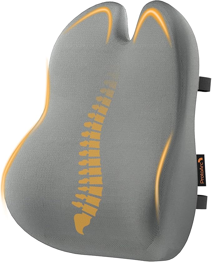 ProtoArc Lumbar Support Pillow for Office Chair, Back Support Pillow, Gray | Memory Foam Pillow for Lower Back Fatigue Relief, Lumbar Pillow Desk Chair Back Cushion, Ergonomic Back Rest for Chair