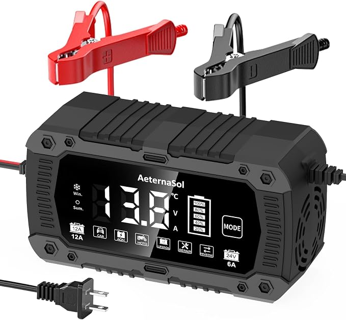 12A Smart Car Battery Charger, 12V/24V Battery Maintainer Charger for Car Motorcycle, Trickle Charger, Fully Automatic Detect Battery Type & Voltage with Desulfator (Black)