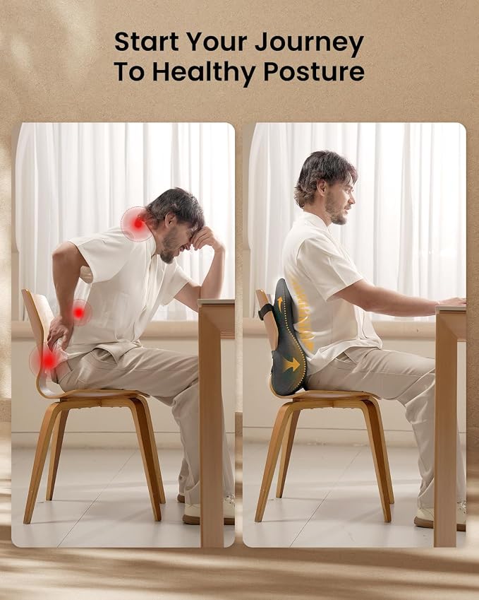 ProtoArc Lumbar Support Pillow for Office Chair, Back Support, Dark Gray | Memory Foam Pillow for Lower Back Fatigue Relief, Lumbar Pillow Desk Chair Back Cushion, Ergonomic Back Rest for Chair