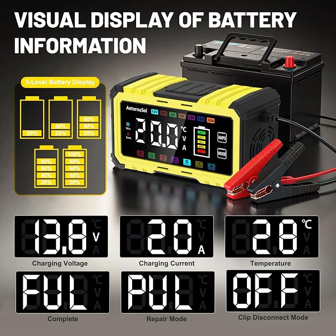 20A 12V/24V Battery Charger LiFePO4 Lead Acid Battery Maintainer,Battery Desulfator with Temperature Compensation,Smart Car Battery Trickle Charger for Car Truck Motorcycle Lawn Mower Boat