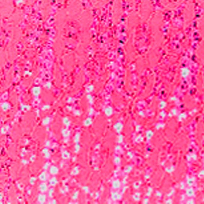 CAR PASS Universal Leather Pink Lace Car Seat Covers Full Set for Women Girls, Waterproof Car Floor Mats Carpet, Steering Wheel Cover for Cars Accessories Interior Sets 10PCS Included