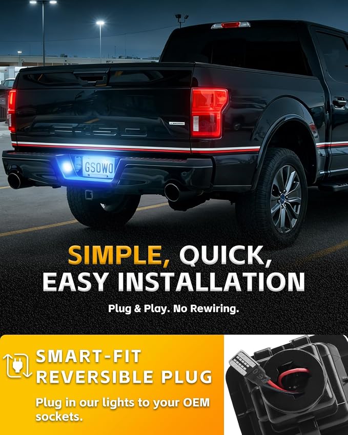 LED License Plate Lights Compatible with 2015-2020 F150 17-20 Raptor, Smoke Lens 10000K Ice Blue