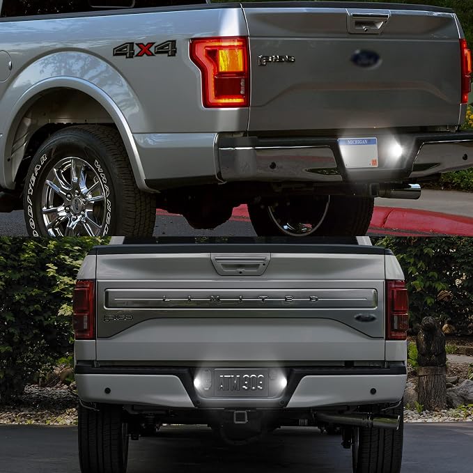 POPMOTORZ LED License Plate Lights Assembly Tag Lamps Smoked Lens Compatible with 2015-2022 Ford F-150 2015-2022 F-150 Raptor Pickup Truck Raptor LED Tag Lights 18SMD 6000K White 2 Pieces