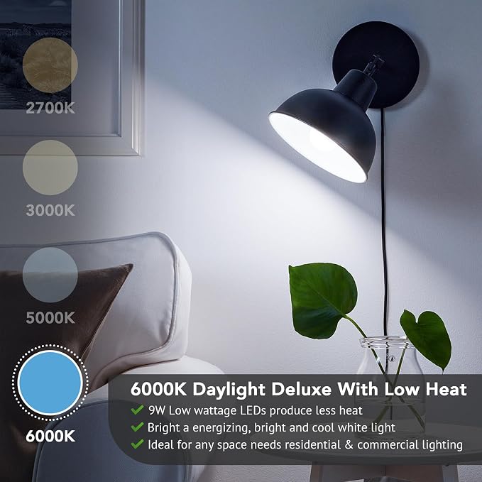 Maylaywood A19 LED Light Bulbs, 60 Watt Equivalent, 6000K Cool White, 850LM, Non-Dimmable, E26 Base, 9W Bright White LED Bulbs, 4-Pack