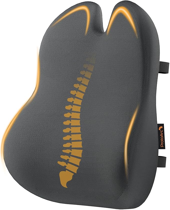 ProtoArc Lumbar Support Pillow for Office Chair, Back Support, Dark Gray | Memory Foam Pillow for Lower Back Fatigue Relief, Lumbar Pillow Desk Chair Back Cushion, Ergonomic Back Rest for Chair