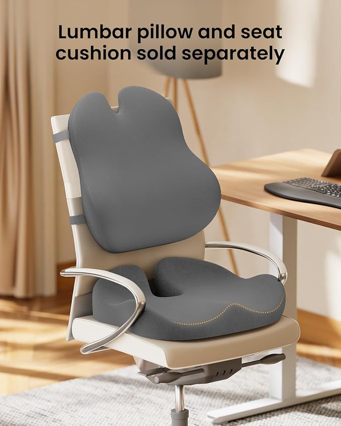 ProtoArc Lumbar Support Pillow for Office Chair, Back Support Pillow, Gray | Memory Foam Pillow for Lower Back Fatigue Relief, Lumbar Pillow Desk Chair Back Cushion, Ergonomic Back Rest for Chair