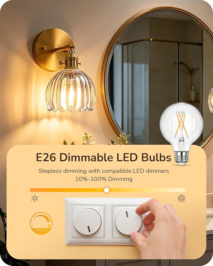EDISHINE 6 Pack G25 Globe Light Bulbs, Dimmable Vintage LED Edison Bulbs, CRI90+ 5W Equivalent 60W, Clear LED Filament Vanity Light Bulbs, 2700K Warm White, 500LM, E26 Base