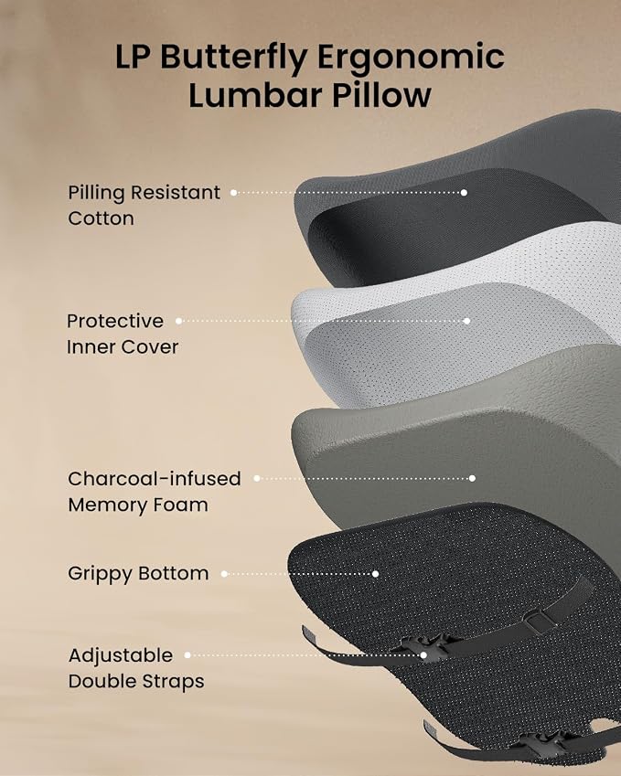 ProtoArc Lumbar Support Pillow for Office Chair, Back Support, Dark Gray | Memory Foam Pillow for Lower Back Fatigue Relief, Lumbar Pillow Desk Chair Back Cushion, Ergonomic Back Rest for Chair