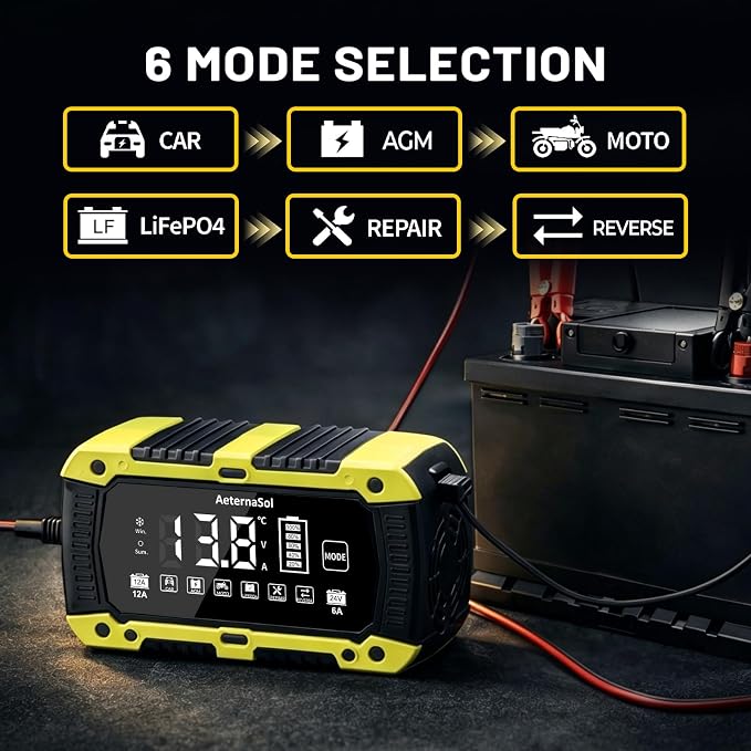 Battery Charger 12-Amp 12V and 24V LiFePO4 Car Battery Charger Battery Maintainer Trickle Charger and Battery Desulfator with Temperature Compensation for Car Truck Lawn Mower Boat Batteries