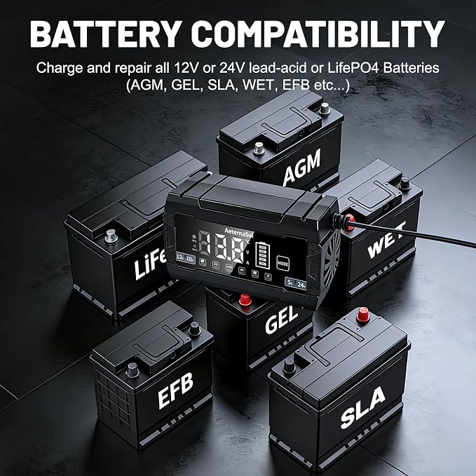 10A Smart Battery Charger 12V/24V, 10-Stage Car Battery Charger Automotive, Trickle Charger Maintainer with Pulse Repair for Truck, Motorcycle, Battery Desulfator with Temperature Compensation (Black)