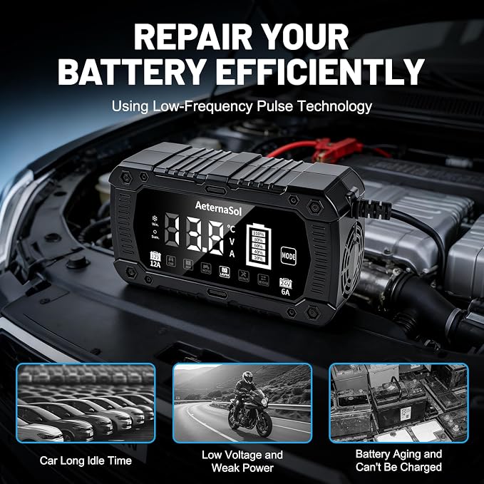 12A Smart Car Battery Charger, 12V/24V Battery Maintainer Charger for Car Motorcycle, Trickle Charger, Fully Automatic Detect Battery Type & Voltage with Desulfator (Black)