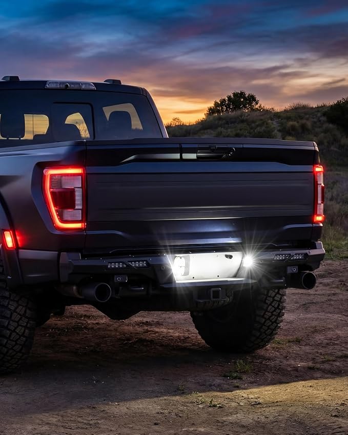 LED License Plate Lights for 2015-2025 F150 | for 2017-2025 F150 Raptor | Super Bright SMD LED | 6000K White | Rear Bumper Tag Lights | Smoked Len