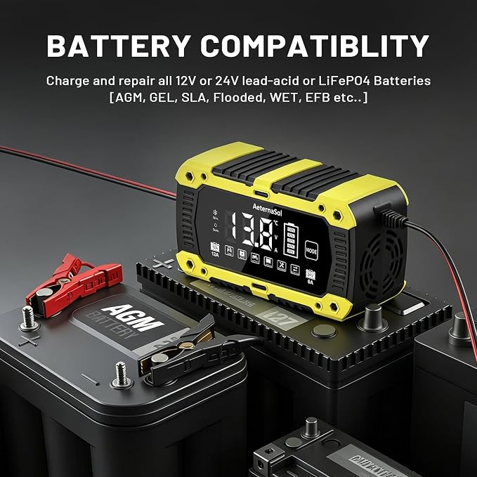 Battery Charger 12-Amp 12V and 24V LiFePO4 Car Battery Charger Battery Maintainer Trickle Charger and Battery Desulfator with Temperature Compensation for Car Truck Lawn Mower Boat Batteries