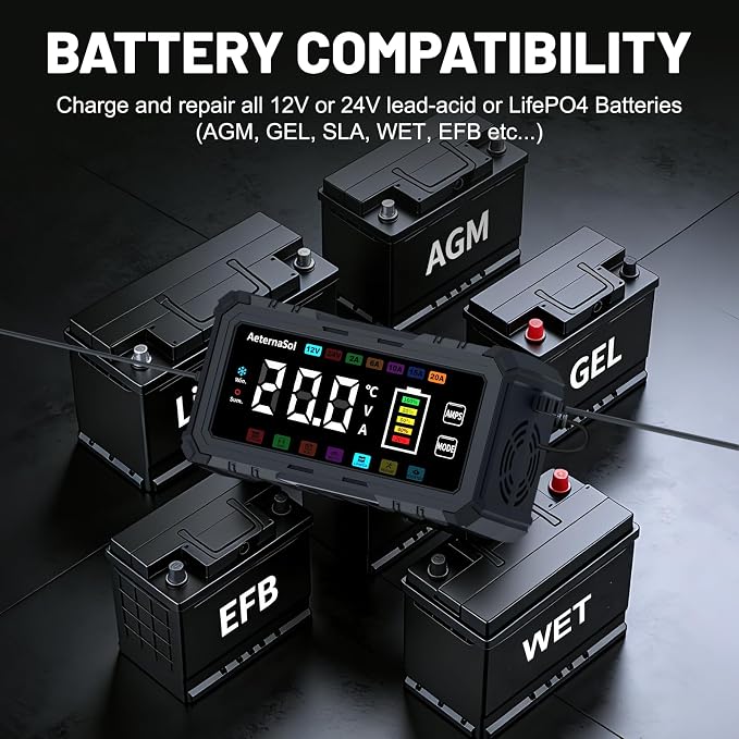 20A Smart Car Battery Charger, 12V/24V Battery Charger, Automatic Battery Maintainer Desulfator Compatible with LiFePO4, AGM, Gel, Lead-Acid, Trickle Charger for Truck, Motorcycle, RV, Boat (Black)