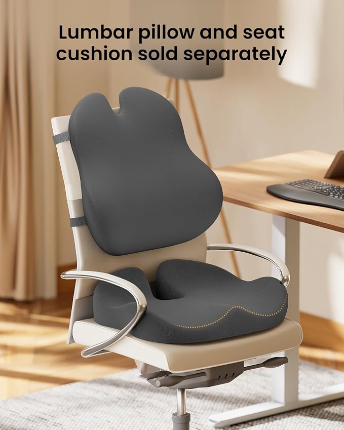 ProtoArc Lumbar Support Pillow for Office Chair, Back Support, Dark Gray | Memory Foam Pillow for Lower Back Fatigue Relief, Lumbar Pillow Desk Chair Back Cushion, Ergonomic Back Rest for Chair