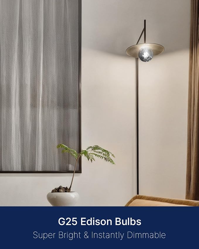 FLSNT 6 Pack G25 LED Globe Edison Bulbs, 5000K Daylight Decorative Light Bulbs, CRI90+ Dimmable, 40W Equivalent, 300LM, E26 Base, Smoky Grey Glass, UL Listed