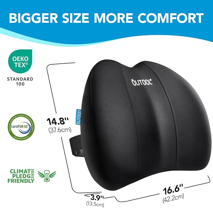 QUTOOL Lumbar Support Pillow for Office Chair, Office Home Essentials,Gifts for Mom,Dad, Back Support Pillow for Car, Chair Cushions,Back Pain Relief Improve Posture,Mesh Cover Adjustable Straps