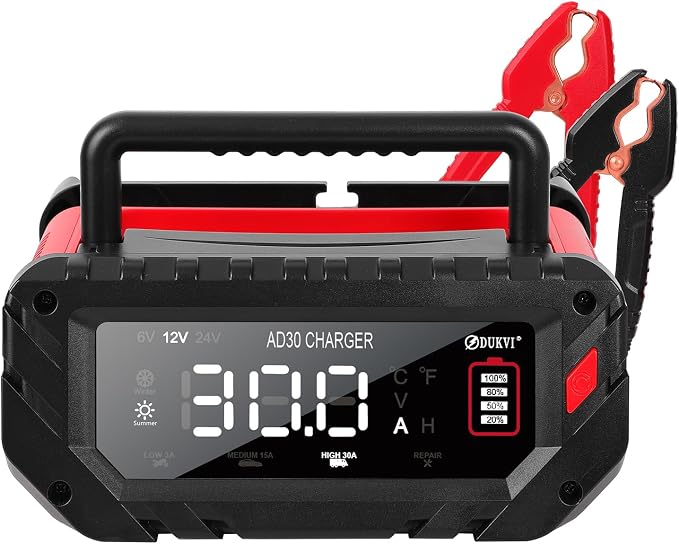 30 Amp 6V/12V/24V Smart Trickle Charger, Car Battery Charger, Lithium, Lifepo4, Lead Acid (AGM/Gel/SLA) Automatic Battery Maintainer, Battery Desulfator for Boat, Motorcycle, Lawn Mowers