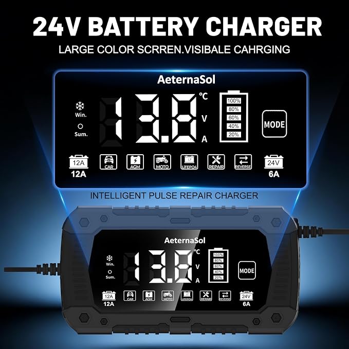 12A Smart Car Battery Charger, 12V/24V Battery Maintainer Charger for Car Motorcycle, Trickle Charger, Fully Automatic Detect Battery Type & Voltage with Desulfator (Black)