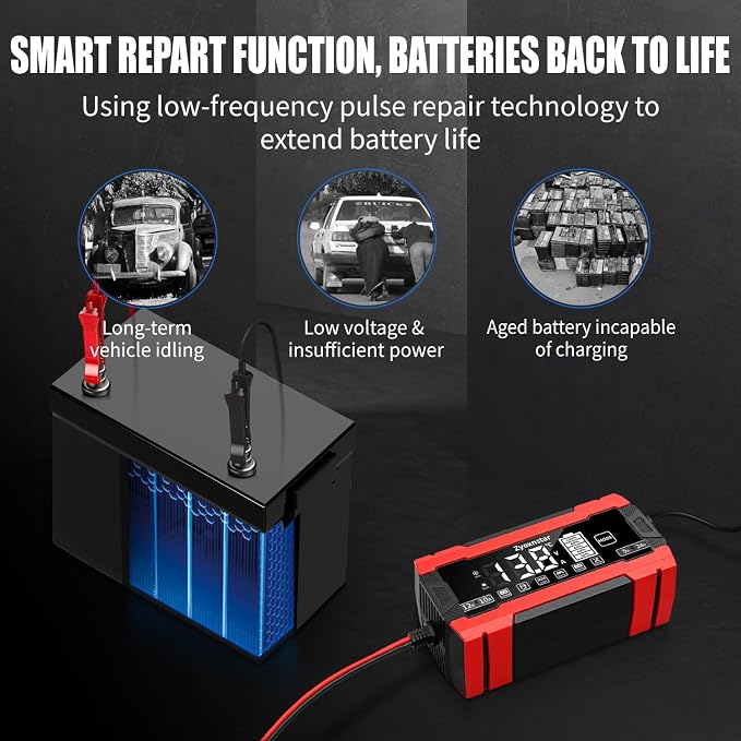 Battery Charger 10 AMP, 12V/24V LiFePO4 Lead Acid Car Battery Pulse Repair Charger, Smart 10-Stage Maintainer & Trickle Charger w/Temp Compensation