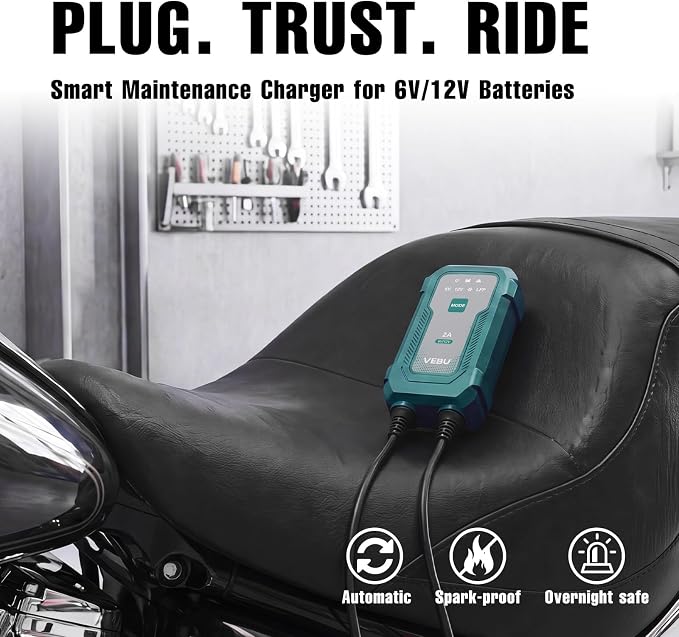 Smart 2A 6V/12V Battery Charger Maintainer - Auto Desulfator & Winter Mode for Deeply Discharged Lead-Acid & LiFePO4 Batteries - Perfect for Motorcycle, Car, Boat, RV, ATV