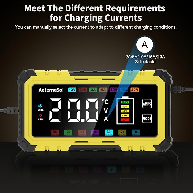 20A 12V/24V Battery Charger LiFePO4 Lead Acid Battery Maintainer,Battery Desulfator with Temperature Compensation,Smart Car Battery Trickle Charger for Car Truck Motorcycle Lawn Mower Boat