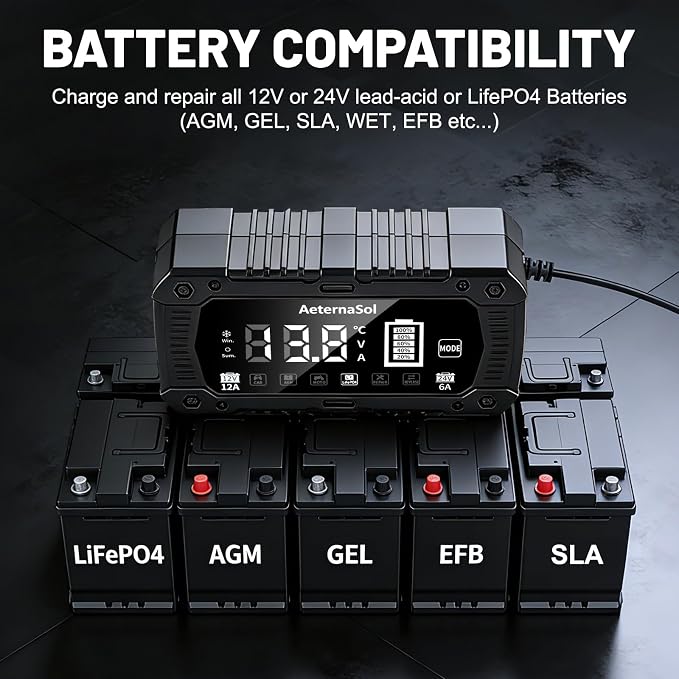 12A Smart Car Battery Charger, 12V/24V Battery Maintainer Charger for Car Motorcycle, Trickle Charger, Fully Automatic Detect Battery Type & Voltage with Desulfator (Black)